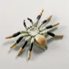 Simülasyon örümcek modeli oyuncak dekoratif sahne örümcekleri modeller süslemeler şaka hile komik oyuncaklar cadılar bayramı parti dekorasyonları çocuklar eğitim oyuncakları öğrenmek