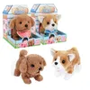 Plush Dolls Electronic Dog Robot Puppy Walk Bark Wag Tail Teddy Toys Funny For Children Birthday Gift 221129