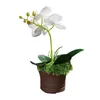 Decorative Flowers Artificial Phalaenopsis Potted Simulation Flower Plant Pot Fake Orchid Desktop Ornaments Home Party Wedding Floral