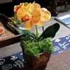 装飾的な花人工ファレエノプシスポットシミュレーションフラワー植物ポット偽蘭デスクトップ飾りホームパーティーウェディングフローラル