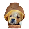 Herrtröjor 2022 Sweatshirt män kvinnor 3d tryck chow hund djurmönster pullover unisex casual överdimensionerade toppar