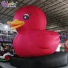 Recentemente design 6.6x4.7x6mH publicidade inflável pato dos desenhos animados com luzes modelo de balão de animais soprados para festa evento decoração brinquedos esportes-2