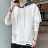 Men's Hoodies Cool Winter Hoodie Soft Pullover Drawstring Casual Spring Autumn Thermal