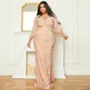 فساتين مناسبة خاصة بالإضافة إلى حفلات الحفلات الطويلة للسيدات Light Light Sequin Evening Dress PCH2184