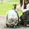 Siedzisko samochodu dla psów 2022 PET CAT BAG BUBBLE Pudełko Przenośna przezroczysta wózek Duża oddychająca pojemność przestrzeni