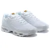 Hommes femmes chaussures de course tn plus 3 Triple White Black Barely Volt Pimento Metallic Pewter Hyper Blue tns mens trainers chaussures outdoor sneakers taille 36-46