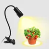 Kweeklichten Volledig spectrumverlichting Dimbare niveaus Timing LED -groeilamp voor binnenplanten Greenhouse Seed Starter Hydroponics