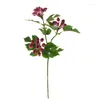 Fiori decorativi Simulazione Fiore Frutta artificiale Schiuma 33 Frutti Decorazione domestica in plastica pieghevole 9 Foglie rosse Pianta finta