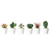 Decorative Flowers 6pcs/set Mini Cute Succulent Cactus Assortment Small Artificial Plants Plastic Faux Decoration For Micro Space Decor