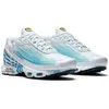 Hommes femmes chaussures de course tn plus 3 Triple White Black Barely Volt Pimento Metallic Pewter Hyper Blue tns mens trainers chaussures outdoor sneakers taille 36-46