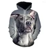 Sweats à capuche pour hommes Golden Retriever impression 3D Harajuku à capuche homme/femme mode décontracté vêtements de rue à manches longues chien pull sweat-shirt haut