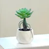 Flores decorativas Planta artificial em vaso útil pequeno suculento suculento simulado sem regar falso