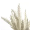 Decorative Flowers 20pcs Decor Wedding Home Small Pampas Reed Grass Dried Natural Plants Bunch
