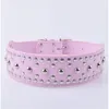 Hondenkragen zwart rood roze kleur pu lederen paddestoel steked puppy ketting bezaaid huisdier halsband verstelbaar