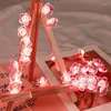 Strings Spring Pink Blossom LED String Lights per vacanze Compleanno Matrimonio Decorazione domestica Ghirlanda Decor Cristmas