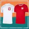 camiseta seleccion polonia