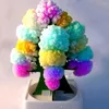 Christmas Decorations Decorative Science Parent-child Entertainment Multicolor Tree Paper Crafts Flowering Toy For