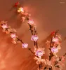 Strings Spring Pink Blossom LED String Lights per vacanze Compleanno Matrimonio Decorazione domestica Ghirlanda Decor Cristmas