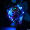 Str￤ngar USB 5V 2M 20LED Fairy Lights String Waterproof Copper Wire Graland Christmas Year Holiday Decorative Lamp inomhus eller camping