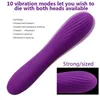 Sex Toy Massager 10 Vibration Powerful Toys Silicone Handheld Massager Female Clit Clitoral Stimulator g Spot Vibrators for Women5955138