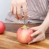 Fruit Tools 304 Stainless Steel Apple Rice Mold Stewed Rock Sugar Pear Large Core Puller Fruit Core Hole Digger Remover Kitchen Gadgets