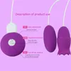 Секс -игрушка массажер 12 скорость USB Power Longue Oral Licking Vibrators Dildo Egg Vibrator Clitorit