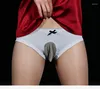Underpants Men's Elastic Panties Lingerie Ice Silk See-Through Briefs Sheer Shorts Sissy Pouch Underwear Sexy