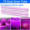 75W T5 Dual Tube Bulb LED światła uprawy pełne spektrum rośliny warzywna dla łańcucha ciągnięcia/wyłączania obejmowała OEMLED