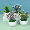 Decorative Flowers 1Pcs Mini Artificial Plants Fake Flower For Home Decor Bedroom Computer Desk Ornament Microscopic Bonsai Decoration