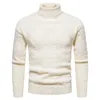 Men's Sweaters Autumn Winter Fashion Turtleneck Mens Thick Casual Roll Neck Solid Warm Slim Fit Men Pullover Male