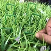 Dekorative Blumen 20PCS synthetische künstliche Gartenteile Gras Rasen Pins U-Befestigung Rasen Zelt Heringe Matte für die Befestigung von Gewächshäusern Insekten