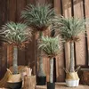 Decorative Flowers Home Decor Moroccan Dragon Blood Tree Tequila Simulation Large Plant Bonsai Christmas Wedding Ornaments Nordic Gifts