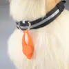 Hundehalsbänder / panDaDa Schlüsselanhänger, leuchtendes Halsband, Schlüsselanhänger, LED, glänzendes Silikon, für kleine große Hunde, Katzenzubehör, Heimtierbedarf