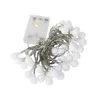 Strings 5 Metre 50 LED Shining Garland White Lights Home Decoration Warm Yellow