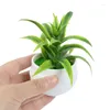 Decorative Flowers 1Pcs Mini Artificial Plants Fake Flower For Home Decor Bedroom Computer Desk Ornament Microscopic Bonsai Decoration