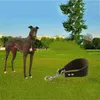 Dog Collars Leather Collar Extra Wide Padded Tapered Soft Pet For Greyhound Saluki Deerhound Lurcher Whippet Dachshund