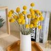 Decoratieve bloemen 40 -stks gedroogde Craspedia Billy Button Balls Flower Bouquet voor arrangementen Wedding Home Decor