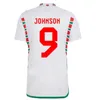 2024 2425 Wales Soccer Jerseys BALE WILSON JAMES JOHNSON ALLEN RAMSEY MOORE VOKES SMITH DAVIES AMPADU 22 23 Rodon VOKES Football Shirt BROOKS