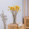 Decoratieve bloemen 40 -stks gedroogde Craspedia Billy Button Balls Flower Bouquet voor arrangementen Wedding Home Decor