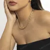 Zware metalen choker ketting voor vrouwen overdreven gedraaide dikke dikke sleutelbeen ketens sieraden mannen