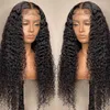 Karbalu Water Wave Lace Front Wig HD Frontal Brasileiro Hail Wigs para mulheres molhadas e onduladas