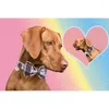 Hondenhalsband Unieke stijl Paws Collar Blauwe en roze geruite katoenen stoffen strik