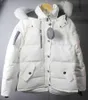 Doudoune Homme Col De Fourrure Parka Hiver Imperméable Manteau De Canard Blanc Cape Mode Hommes Et Femmes Couples Orignal Version Décontractée Pour Garder Au Chaud