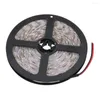 سلاسل 5M 300LED LIGHT 3528 DC12V RGB LED Strip مع 1A محول الاتحاد الأوروبي مصباح الديكور المنزل الرائع