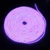 Strips 30M LED Neon Strip Light 2835 Flexible Rope Waterproof IP67 With US Plug Power Supply 110V