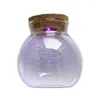 야간 조명 10cm microlandscape Led Terrariums Wish Bottle Light Aquarium 선물 화려한 코르크 마이크로 풍경 생태