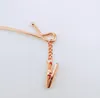 Clothing Storage Rose Gold Metal Clothes Hanger With Clothespins Clip Bra Underwear Lingerie Panties Drying Rack Hook SN178