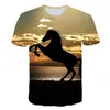 Men's T Shirts Summer Products 3D Animal Horse Short-sleeved Large Size Young T-shirt Dress Up Style Fashion Trend