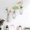 Creative Wall Decoration Hanging Vase Home Decor Iron Wire Glass Water Planting Vases Living Room Party Decorative Flowers Vases TH0503