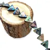 Pärlor Natural Shell Loose Triangular Abalone Används för DIY -smycken Making Halsband Armband Tillbehörsstorlek 13mm